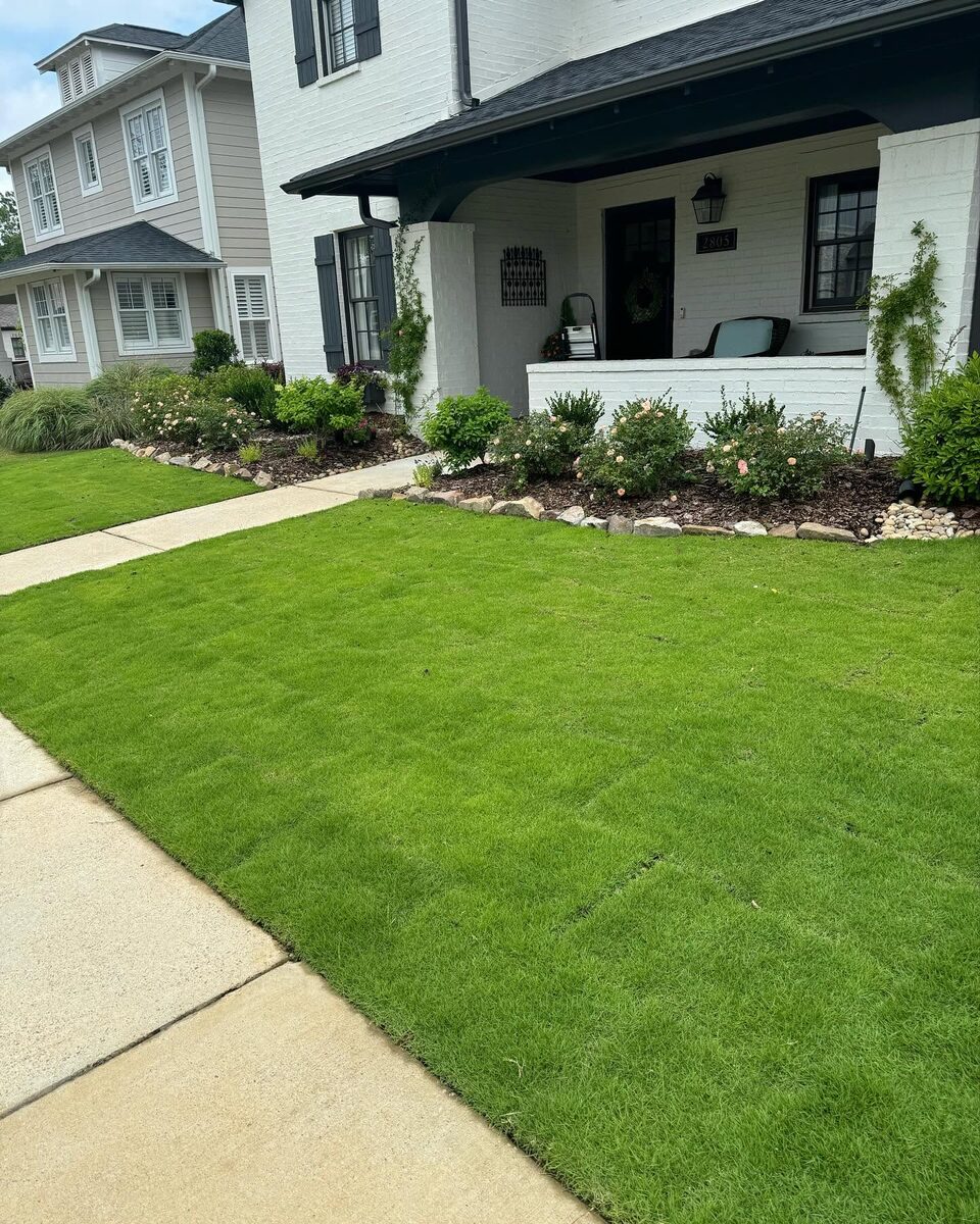 A deep green mown lawn with flowering shrubs and a clean bed line beside a white house.