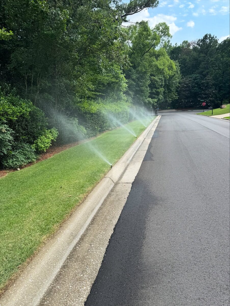 A sprinkler head throwing water across a strip of lawn beside a residential street.