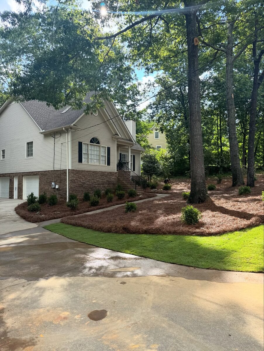Fresh mulch beds and new plantings along a curved driveway.