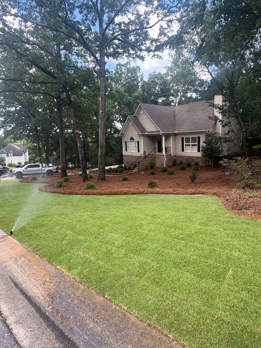 A sprinkler running over a lawn with fresh pine straw beds around a house.